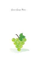Green Grape Notes