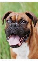 Smiling Boxer Dog Lined Journal