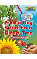 From a Tiny Seed to a Mighty Tree: How Plants Grow