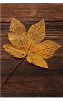 Golden Autumn Maple Leaf Journal: 150 Page Lined Notebook/Diary