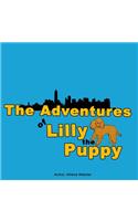 Adventures of Lilly the Puppy