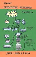 Bailey's Afrocentric Dictionary Volume 16
