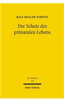Der Schutz Des Pranatalen Lebens