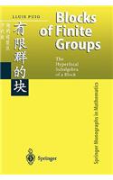 Blocks of Finite Groups