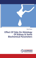 Effect Of Sida On Histology Of Kidney & Some Biochemical Parameters