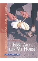 First Aid