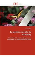 Gestion Sociale Du Handicap