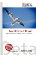 Pale-Breasted Thrush