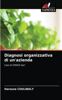 Diagnosi organizzativa di un'azienda