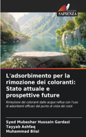 L'adsorbimento per la rimozione dei coloranti: Stato attuale e prospettive future