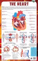 Heart - Thick Laminated Primary Chart