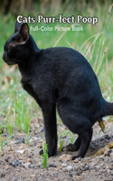 Cats Purr-fect Poop Full-Color Picture Book