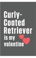 Curly-Coated Retriever is my valentine: For Curly-Coated Retriever Dog Fans