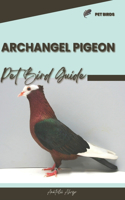 Archangel Pigeon: Pet bird guide