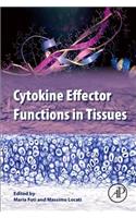 Cytokine Effector Functions in Tissues