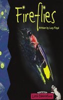 Little Celebrations, Non-Fiction, Fire Flies, Single Copy, Stage 2b