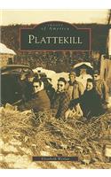 Plattekill