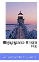 Magnyfycence