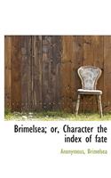 Brimelsea; Or, Character the Index of Fate