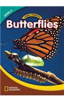 World Windows 3 (Science): Butterflies