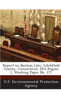 Report on Bantam Lake, Litchfield County, Connecticut: EPA Region I, Working Paper No. 177