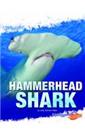 Hammerhead Shark