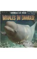 Whales in Danger: (Animals at Risk)