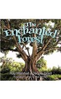 Enchanted Forest