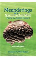 Meanderings of a Soul Drenched Mind