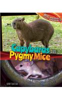 Capybaras and Pygmy Mice: (Big Animals, Small Animals)