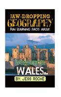 Jaw-Dropping Geography: Fun Learning Facts about Wonderful Wales: Illustrated Fun Learning for Kids