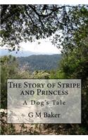 Story of Stripe and Princess