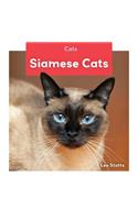 Siamese Cats