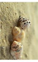 The Three Seashells on the Beach Journal: Take Notes, Write Down Memories in this 150 Page Lined Journal