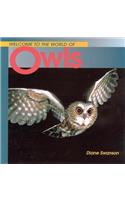 Welcome to the World of Owls