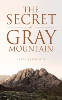 Secret at Gray Mountain