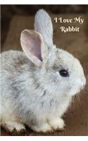 I Love My Rabbit