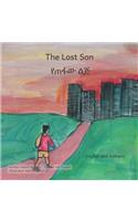 Lost Son