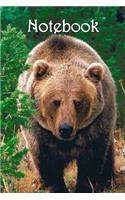 Notebook: Bear, Grizzly - Bespoke, personalised notebook. Contact us if you would like your own image, name or other text on a book.