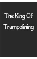 The King Of Trampolining