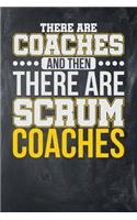 There are Coaches and Then There are Scrum Coaches