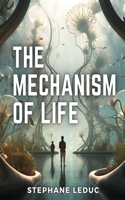 Mechanism Of Life