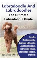 Labradoodle And Labradoodles