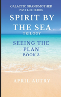 Spirt by the Sea Trilogy - Seeing the Plan - Book 3