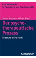 Der Psychotherapeutische Prozess