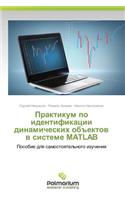Praktikum Po Identifikatsii Dinamicheskikh OB