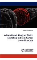 A Functional Study of Notch Signaling in Brain Cancer Stem-like Cells