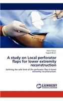 A Study on Local Perforator Flaps for Lower Extremity Reconstruction