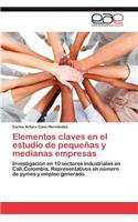 Elementos claves en el estudio de pequeñas y medianas empresas