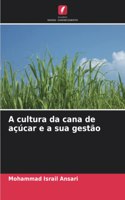 A cultura da cana de açúcar e a sua gestão